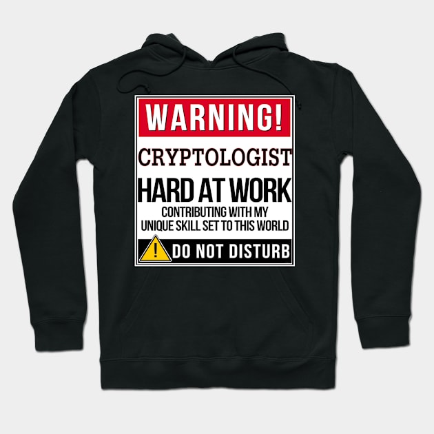 Warning Cryptologist Hard At Work - Gift for Cryptologist in the field of Cryptology Hoodie by giftideas